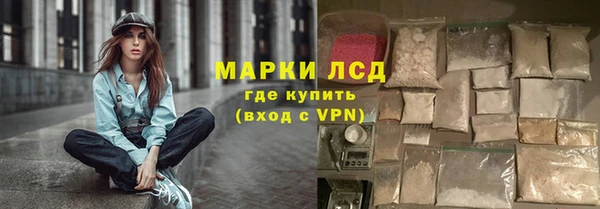 дмт Дмитров