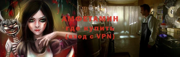 дмт Дмитров