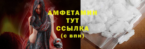 дмт Дмитров