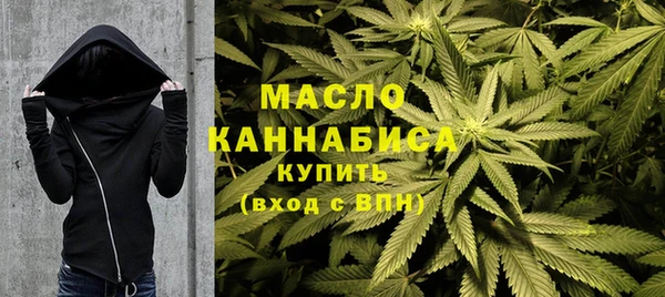 дмт Дмитров