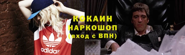 дмт Дмитров
