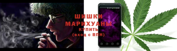 прущие крисы Дмитриев