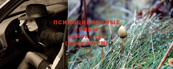 прущие крисы Дмитриев