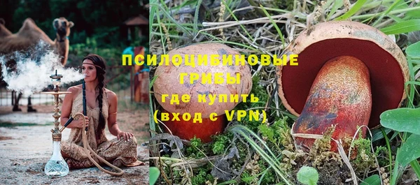 прущие крисы Дмитриев