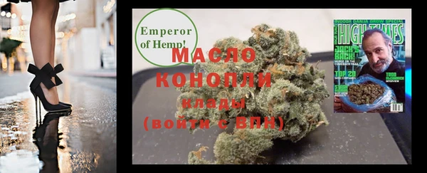 дмт Дмитров