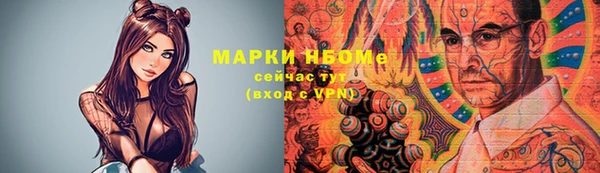 дмт Дмитров
